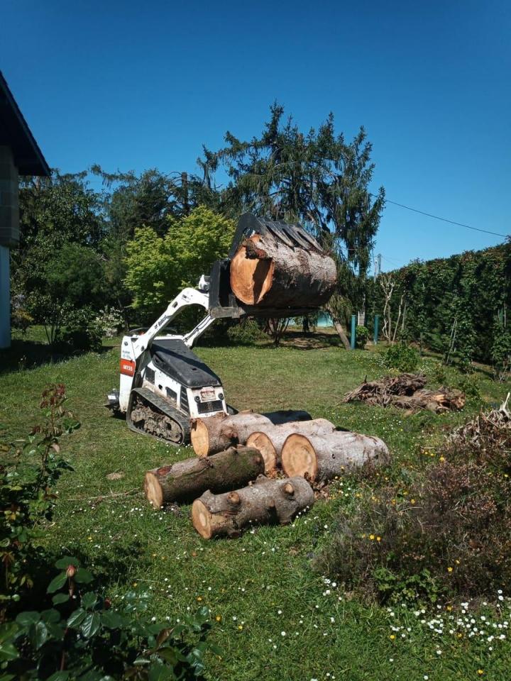 Démontage d'arbre Bayonne
