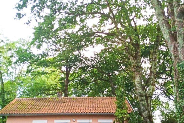 Démontage d'arbre Bayonne