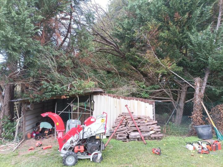 Démontage d'arbre Bayonne